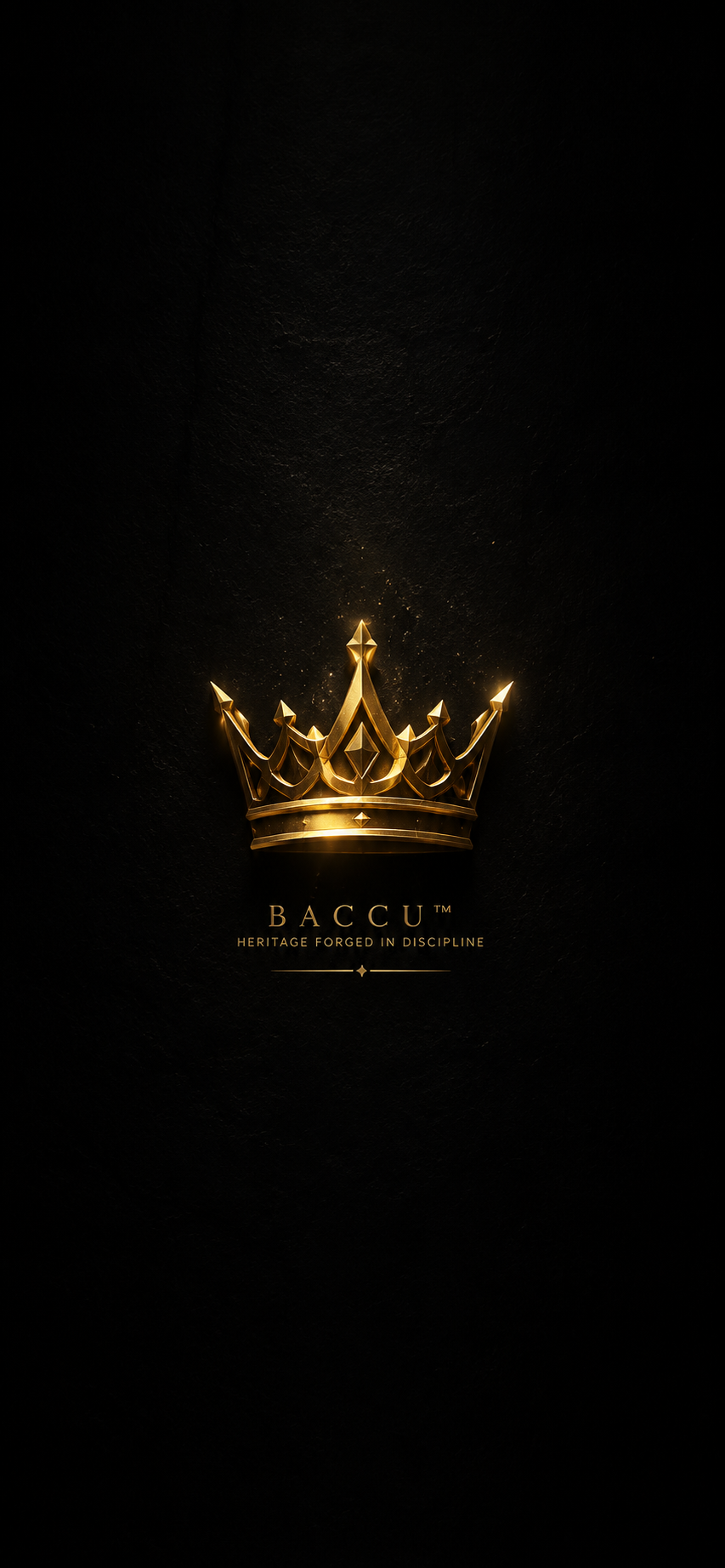 BACCU™ Winter Royalty Wallpapers Vol. 2